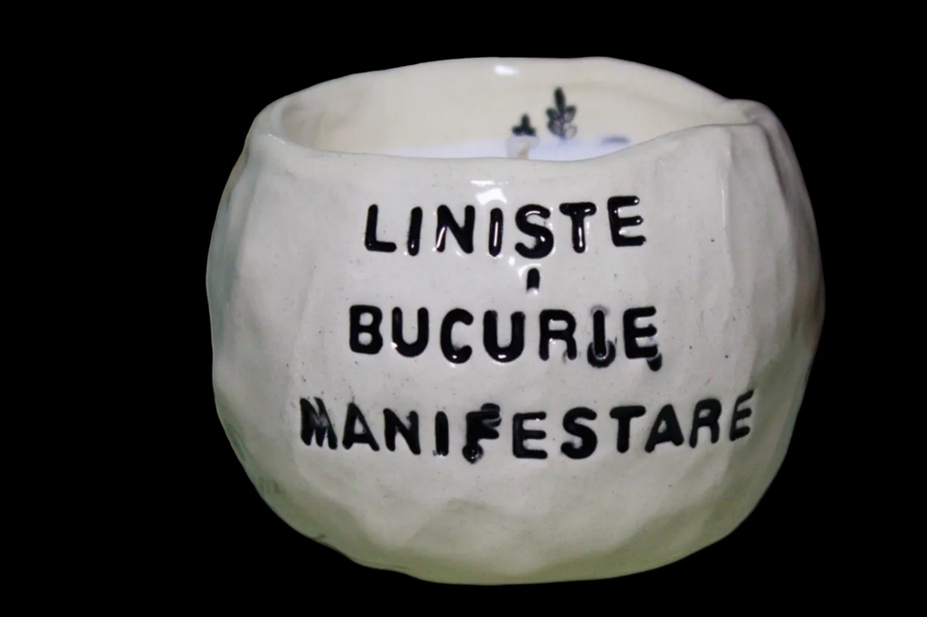 Liniște Bucurie Manifestare