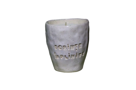 Dorințe împlinite