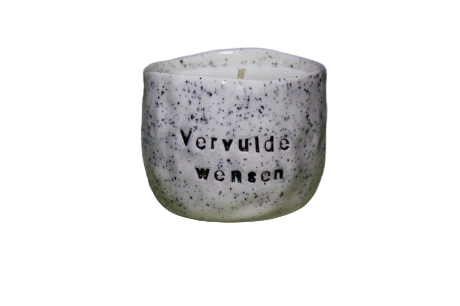 Vervulde Wensen