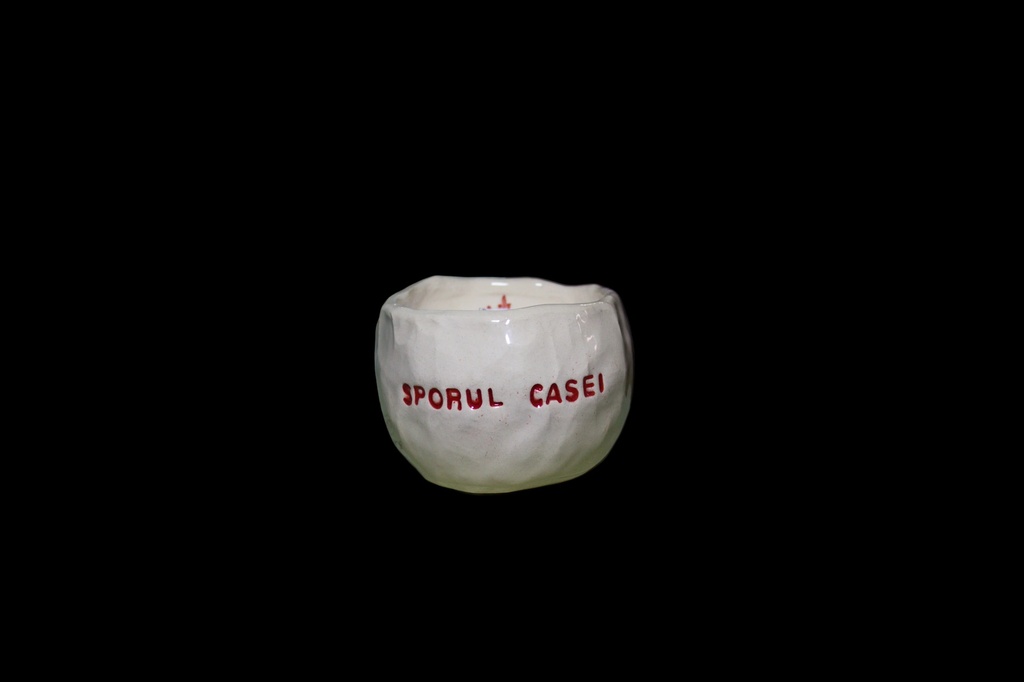 Sporul casei